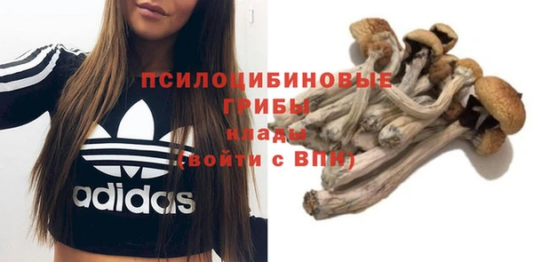 ECSTASY Белокуриха