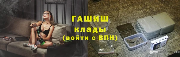 сатива Беломорск