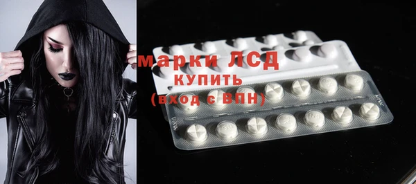 шишки Сосновый Бор