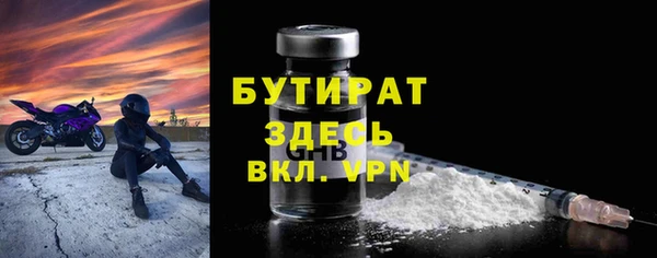 сатива Беломорск