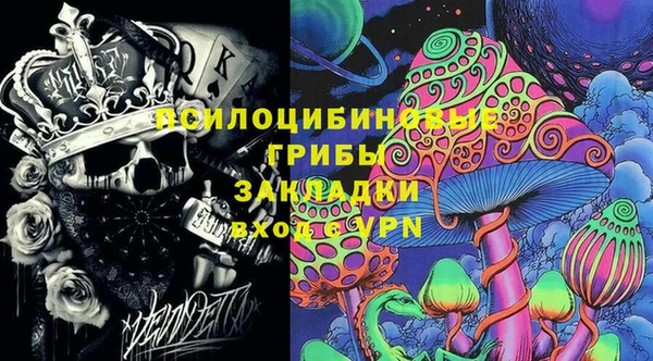 ECSTASY Белокуриха