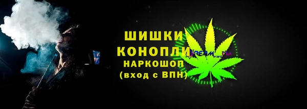 сатива Беломорск