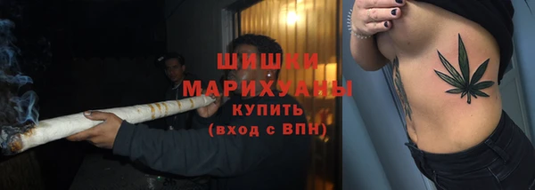 сатива Беломорск