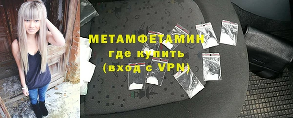 сатива Беломорск
