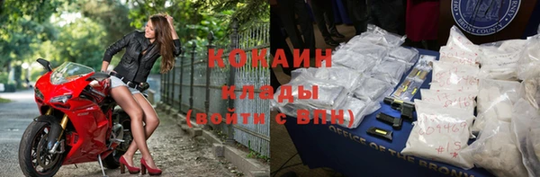 сатива Беломорск