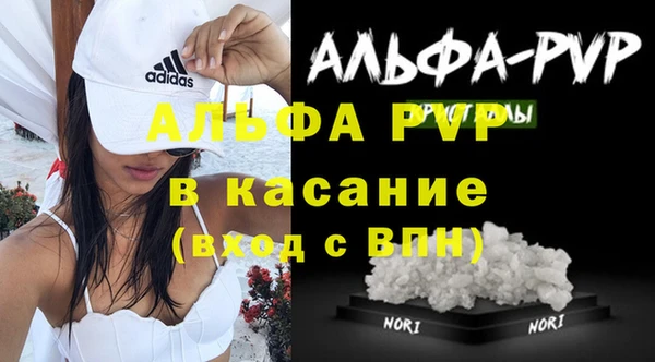 шишки Сосновый Бор