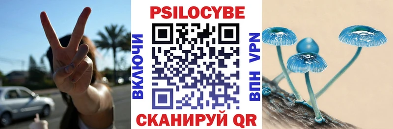 Псилоцибиновые грибы Psilocybe  закладки  Ворсма 